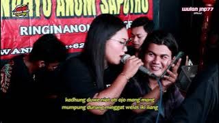 Lagu DAMAR OPO LILIN Cover Jaranan WAHYU ANOM SAPUTRO Ft NSJP Shafira Audio