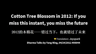 201204 Cotton Tree Blossom in 2012 If you miss this instant, you miss the future 木棉花00044