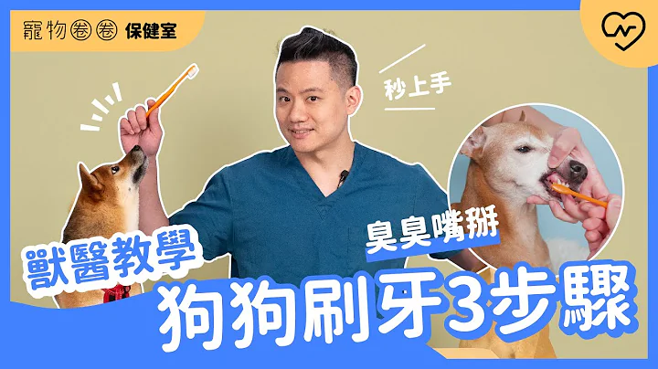 【狗狗刷牙教学】臭臭嘴掰掰～刷出洁白美牙明星狗！让狗狗从此爱上刷牙3步骤 ｜宠物圈圈保健室Ep.7 妞新闻 - 天天要闻