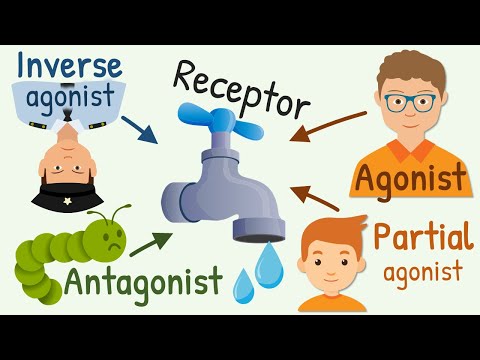 Video: Kas ir receptoru antagonists?