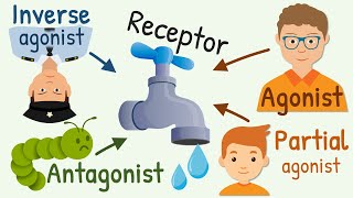 Agonist, Partial Agonist, Antagonist and Inverse Agonist for Receptors