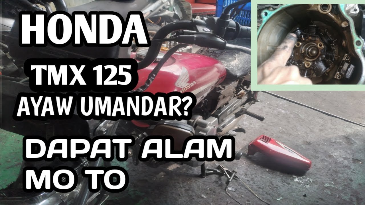HONDA TMX 125 ALPHA AYAW UMANDAR | ANO DAPAT GAWIN AT PALITAN?