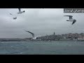 شيلة اه يا من قلبه اشتاق
