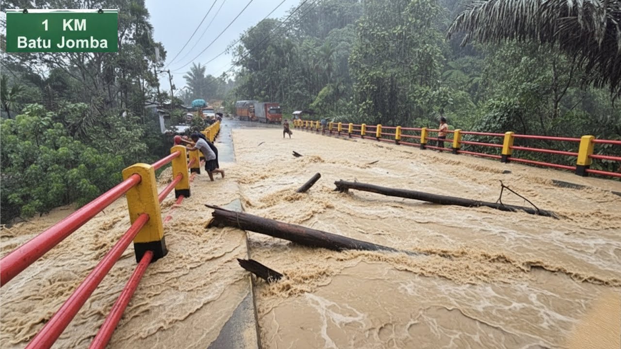 ASLI DIDEPAN MATA‼️RIBUAN METER KUBIK KAYU BERGERAK MELEWATI JALINSUM BATU JOMBA !!