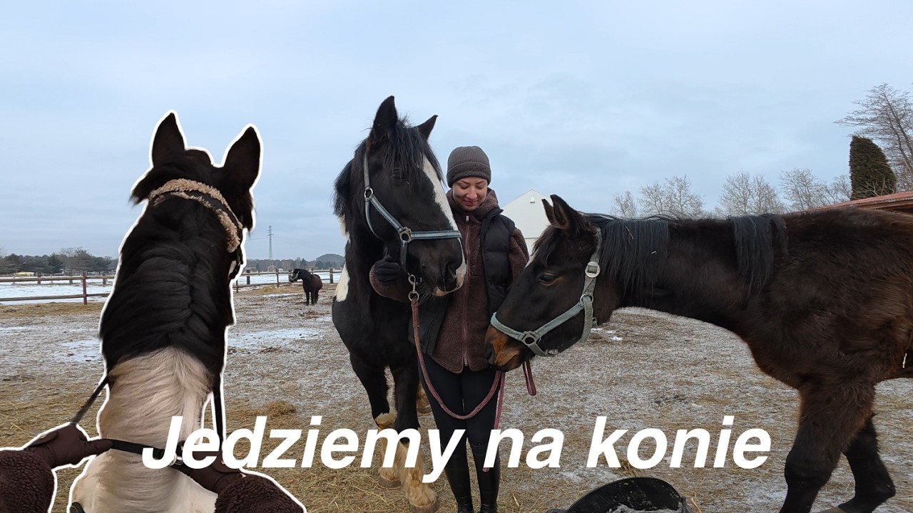 Jedziemy na konie: wskakujemy w nowy miesiąc