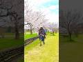 春の記憶。桜が揺れていた頃