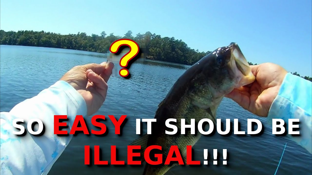 This CHEAT Works ANYTIME And ANYWHERE!!!! | Fall Bass Fishing