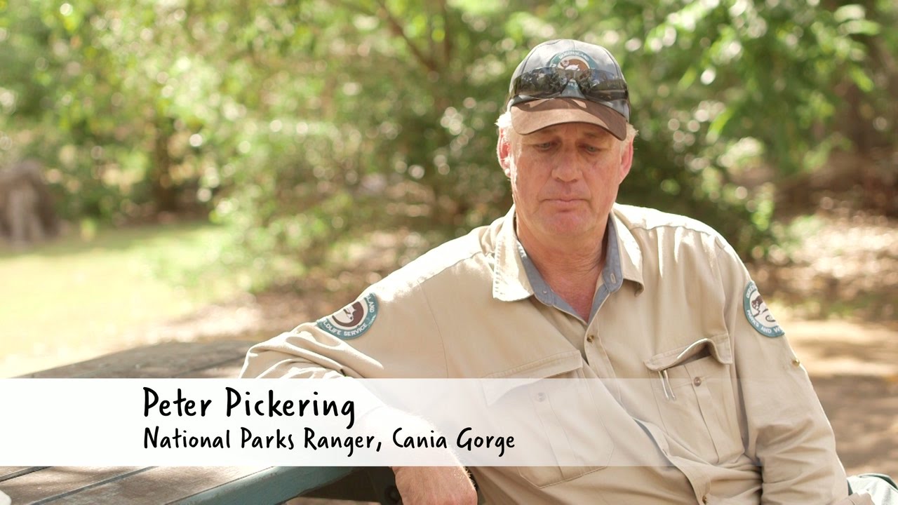 Sandstone Stories - Cania Gorge, North Burnett - Full