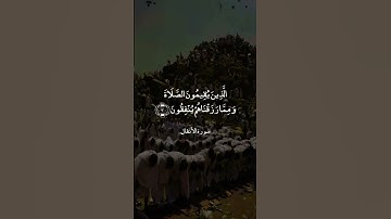 سورة الأنفال | القارىء علي جابر