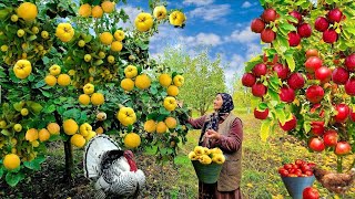 видео: Осенний урожай: собираем яблоки и айву, варим повидло и печём пироги 🍏🥧 картинка: Осенний урожай: собираем яблоки и айву, варим повидло и печём пироги 🍏🥧