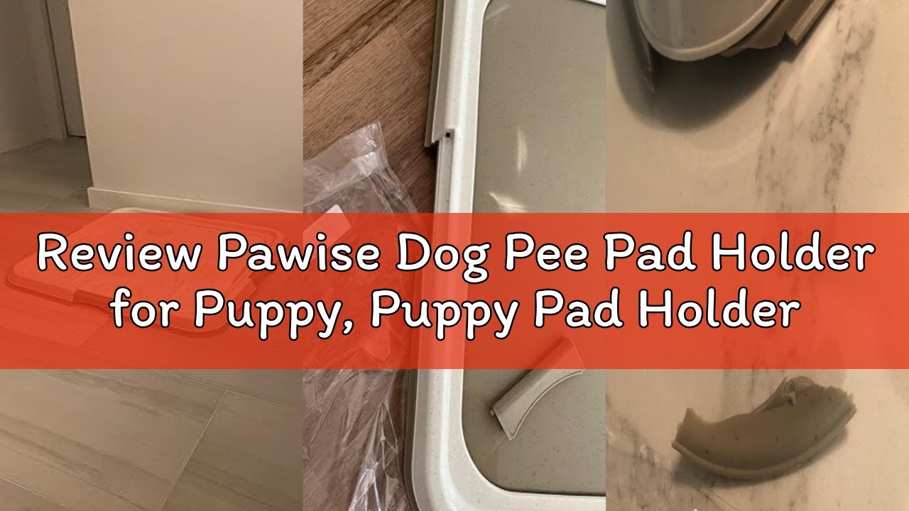 Review Pawise Dog Pee Pad Holder for Puppy, Puppy Pad Holder Tray, Pet Training Pee Pad, Indoor Pott
