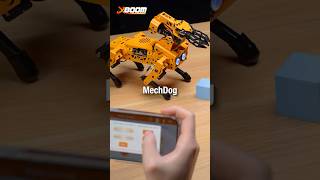 Meet MechDog: The Quadruped with a Robotic Arm! 🤖🦾