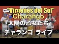 Virgenes del Sol チャランゴ発表会2023太陽の乙女たちライブバージョン