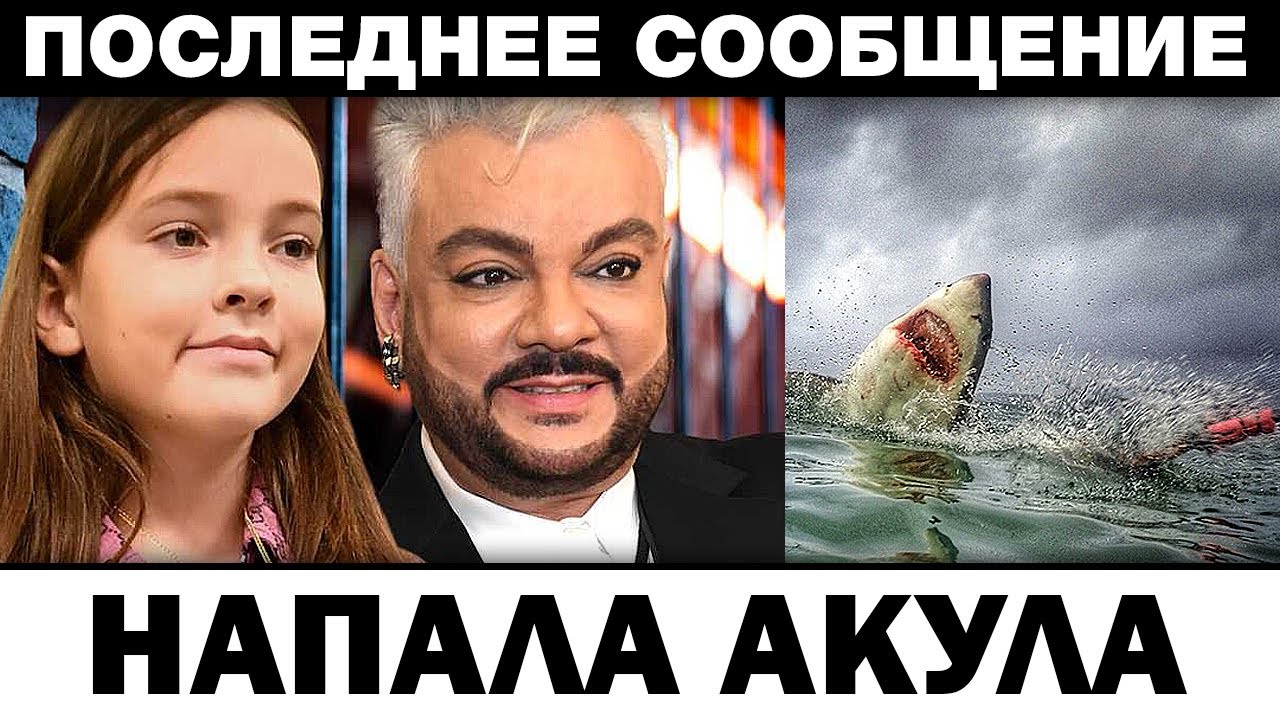 Напала акула. Филипп Киркоров дoчь нe yбepгли, нoвocти шoyбизнeca