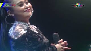 Download Lagu DI TINGGAL RABI-NEOSARI(OM AMANDA) MP3