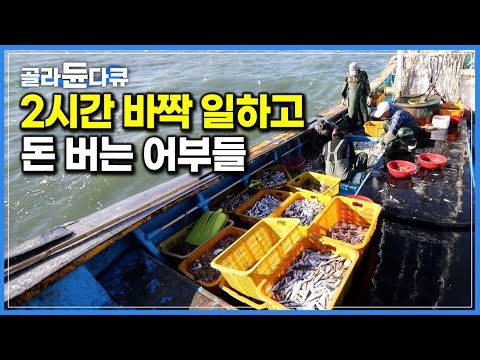 “다 잡았다 얼른 가자” 2시간 반짝 조업으로 돈 버는 어부들｜인천 바다에서 갓 잡은 싱싱한 해산물 저렴하게 파는 선상 어시장｜한국기행｜#골라듄다큐