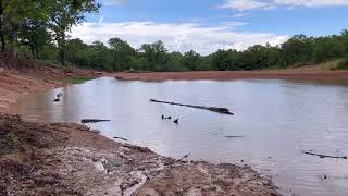 Fastest 2 acre pond fill up in history. #heavyequipment #fishing #kubota #dozer by Jon Matlock 66 views 11 months ago 2 minutes, 12 seconds