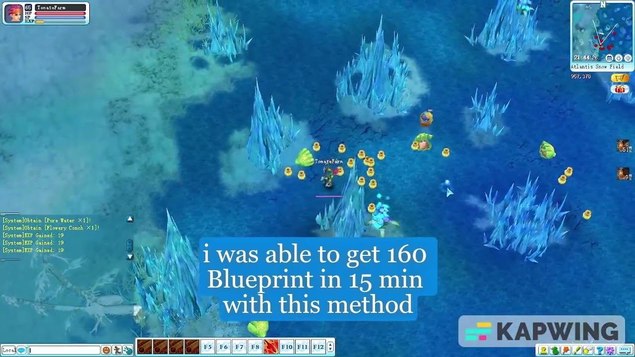 Pirate King Online-Farming Blurry Blueprint at Oyster