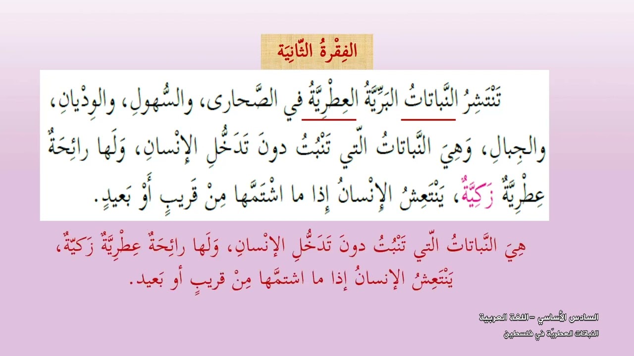 -2022-درس1 | النباتات العطرية في فلسطين | الصف6 | الفصل2 | اللغة العربية