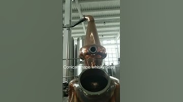 300L steam heating spirits still reflux column still with 24 plates and an unique gin basket