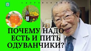 ОДУВАНЧИК. СКРЫТАЯ СИЛА И ПОЛЕЗНЫЕ СВОЙСТВА ЭТОЙ ОБЫКНОВЕННОЙ ТРАВЫ. ЗДОРОВАЯ ЖИЗНЬ.