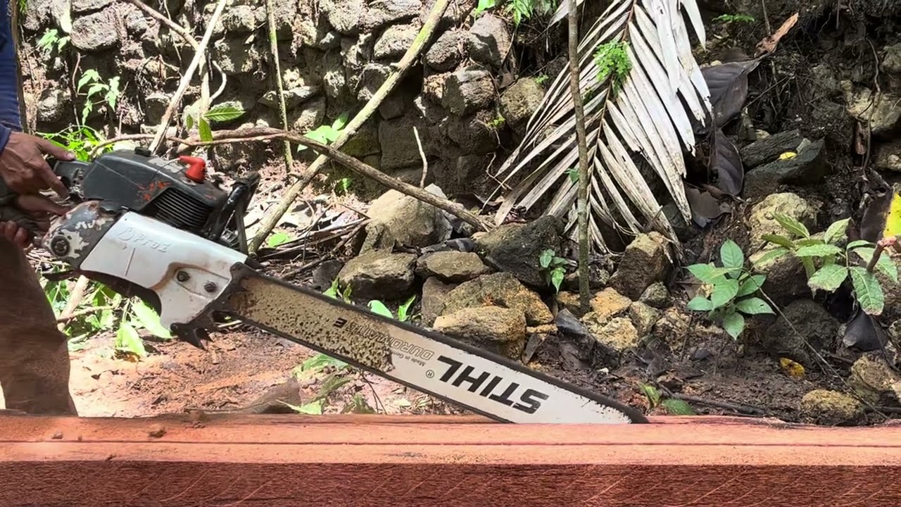 No One Expected This Woman to Do That