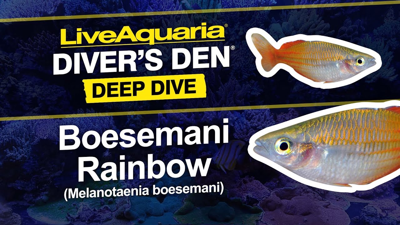 fish supply warehouse