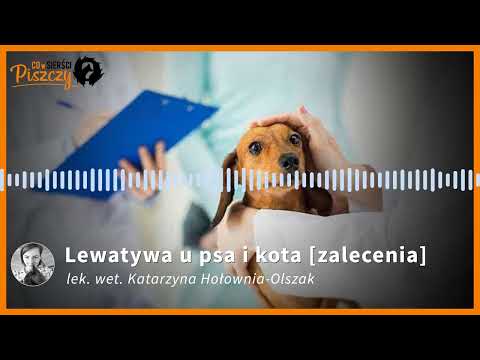 Lewatywa u psa i kota | Lek. wet. Katarzyna Hołownia-Olszak