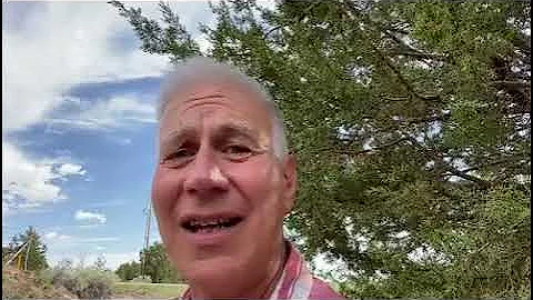 Idiopathic Chronic Uveitis