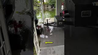 This man flooded the whole city with his garden hose 😮