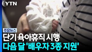 Short-term parental leave begins... '3-part spousal support' starts next month / YTN