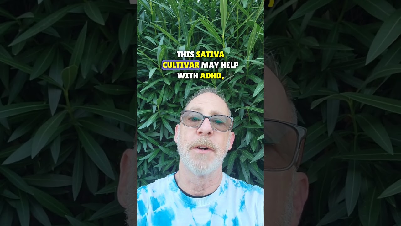 Lambs Bread varietal. 