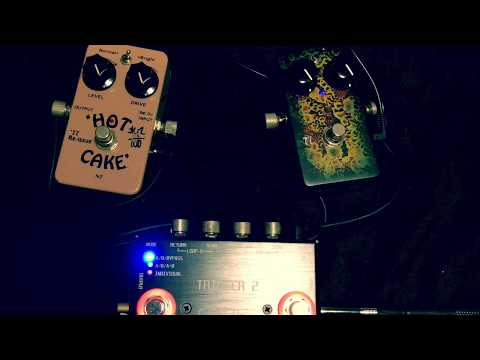 CROWTHER AUDIO Hot Cake’77 Re-issue完全再現3 CROWTHER AUDIO Hot Cake '77 Reissue」エフェクターレビュー