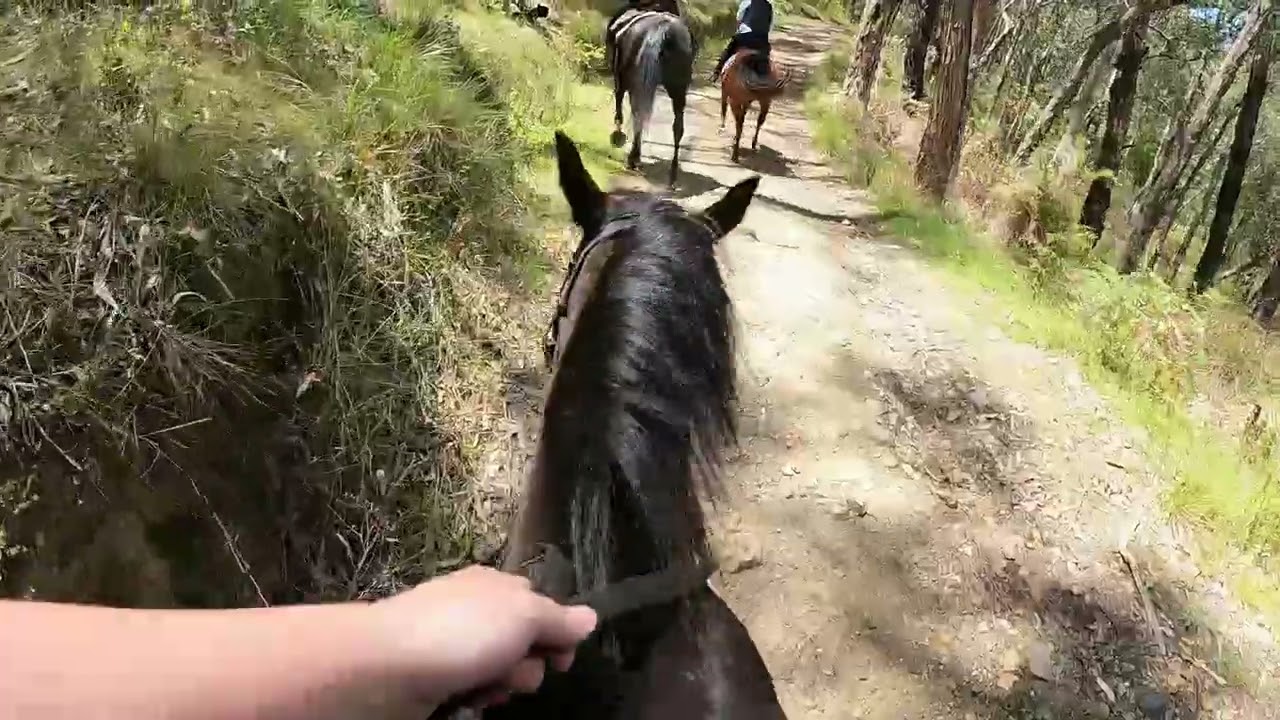 First summer ride in December Doongala