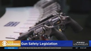 Bipartisan gun control bill passes through Senate; SCOTUS strikes down New York concealed carry law