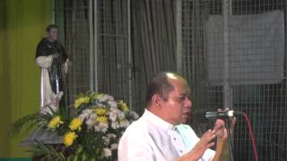 11032015 parangal kay san martin 4