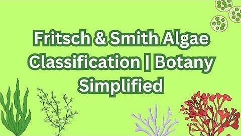 "Classification of Algae by Fritsch and Smith |Malayalam Lecture | Botany Explained" #botany #algae