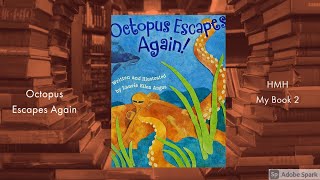 Octopus Escapes Again
