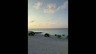 The beach at dawn Saii lagoon Maldives shorts
