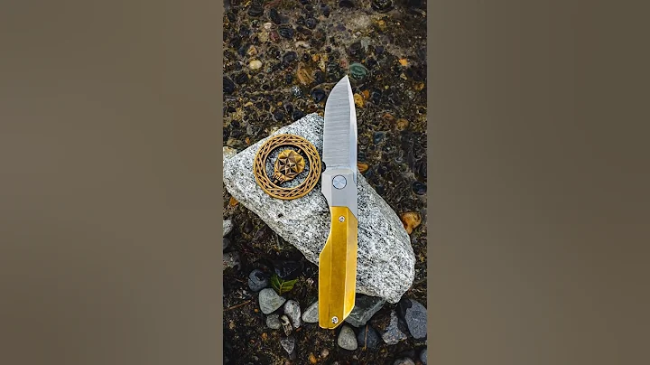 Sunday pocket check #edc #knife #youtubeshorts #pocketdump #edcknife #veroengineering