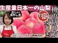 33.生産量日本一山梨・桃の切り方・むき方