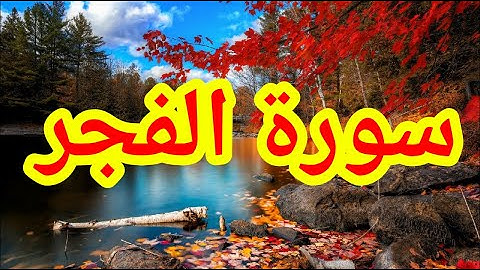 تلاوة لا توصف للقارئ شريف مصطفى سورة الفجر