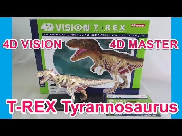 4D VISION,T-REX, Tyrannosaurus,4D MASTER, ティラノ,立体