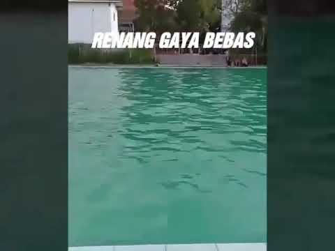 Macam Macam Gaya Renang Youtube