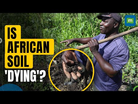 Farmers in Africa say their soil is dying, chemical fertilizers are partly to blame Episode cover