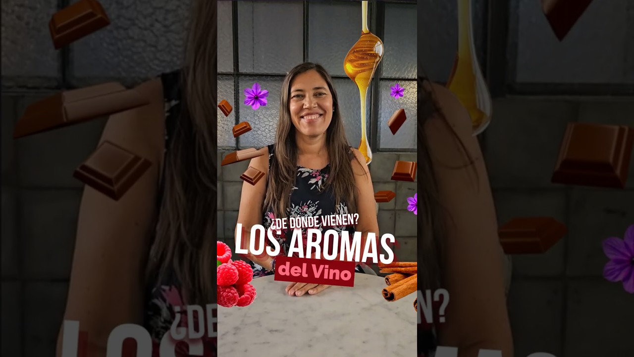 ¿QUÉ AROMAS Y SABORES TIENEN LOS VINOS? 🍷