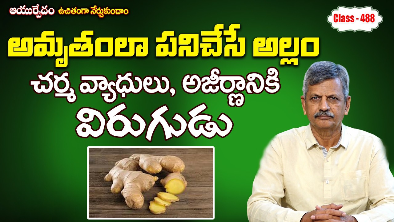 Benefits of Ginger | Free Classes 488 | B. Anjaneya Raju #sreesannidhitv #ayurveda