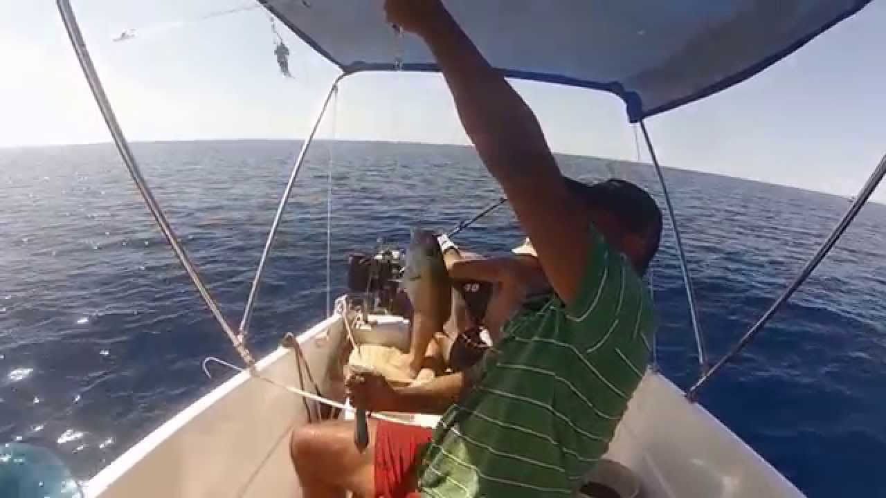 sea fishing trips malta