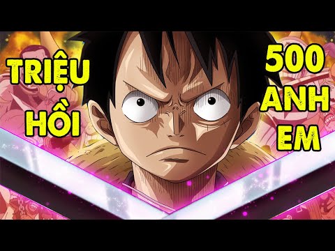 Video Trận Chiến Cuối Cùng | Những Đồng Minh Của Luffy Trong... - youtube