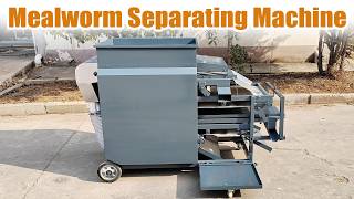 Industrial Mealworm Separator Machine for Insect Farming Business #mealworms #separation #farming